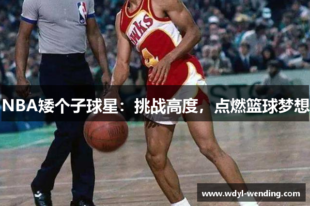 NBA矮个子球星：挑战高度，点燃篮球梦想