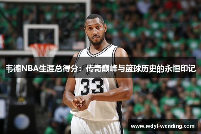 韦德NBA生涯总得分：传奇巅峰与篮球历史的永恒印记